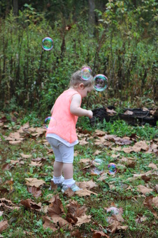 Enlarge photo 157