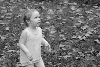 Enlarge photo 169