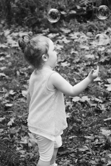 Enlarge photo 174