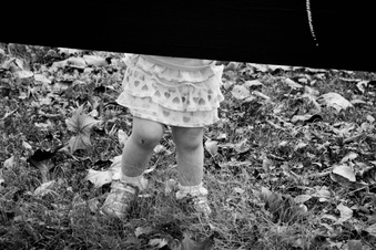 Enlarge photo 264