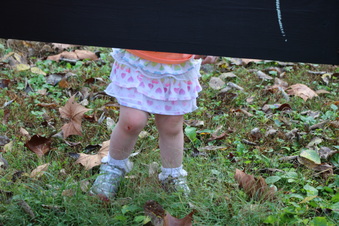 Enlarge photo 265