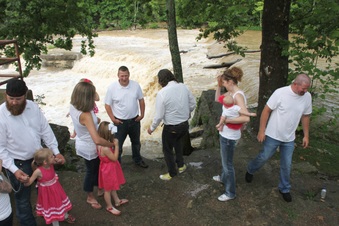 Enlarge photo 77