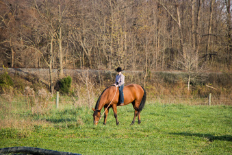 Enlarge photo 131