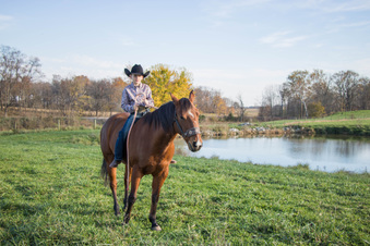 Enlarge photo 133