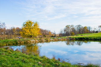 Enlarge photo 236