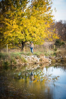 Enlarge photo 237