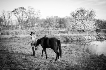 Enlarge photo 246