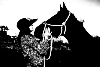 Enlarge photo 269