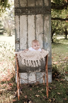 Enlarge photo 238