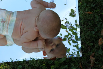 Enlarge photo 265