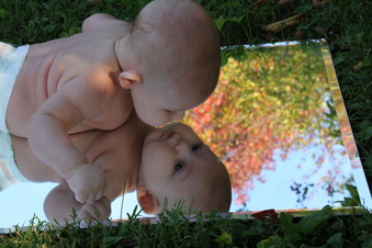 Enlarge photo 269