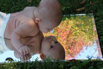Enlarge photo 274