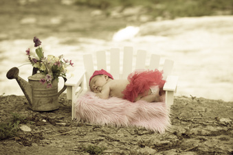 Enlarge photo 7