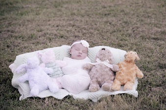 Enlarge photo 119