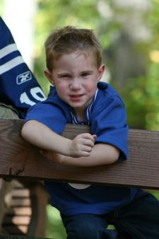Enlarge photo 115