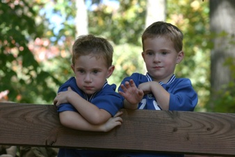 Enlarge photo 111