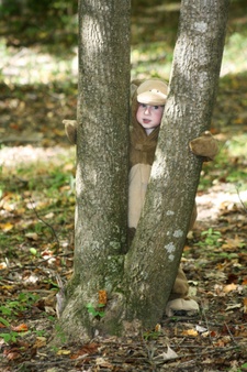 Enlarge photo 23
