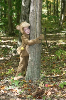 Enlarge photo 13