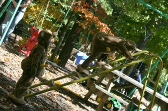Enlarge photo 7