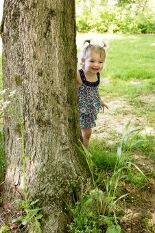Enlarge photo 75