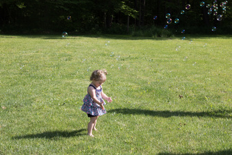 Enlarge photo 134