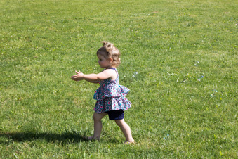 Enlarge photo 136