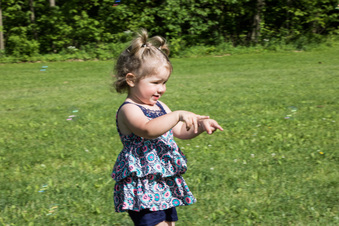 Enlarge photo 151