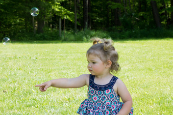 Enlarge photo 153