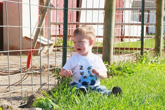 Enlarge photo 199