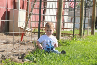 Enlarge photo 200
