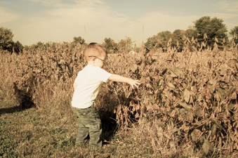 Enlarge photo 267