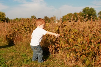 Enlarge photo 268