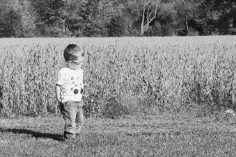 Enlarge photo 288