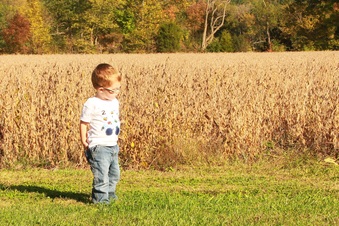 Enlarge photo 289
