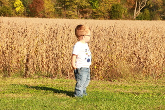 Enlarge photo 293