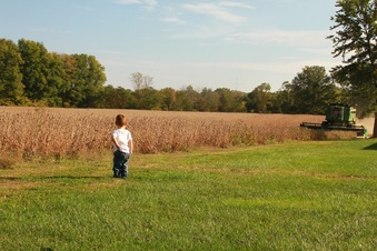 Enlarge photo 297