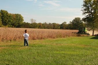 Enlarge photo 298