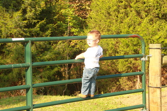 Enlarge photo 319