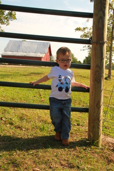 Enlarge photo 337