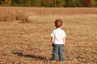 Enlarge photo 346