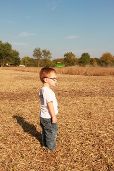 Enlarge photo 348