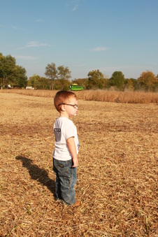 Enlarge photo 349