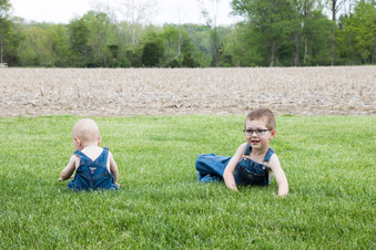 Enlarge photo 378