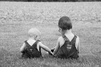 Enlarge photo 384