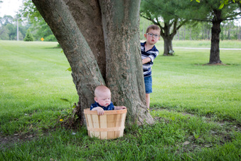 Enlarge photo 440