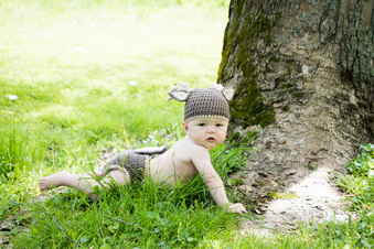 Enlarge photo 301
