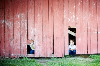 Enlarge photo 230