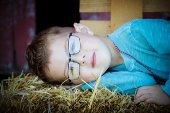 Enlarge photo 184