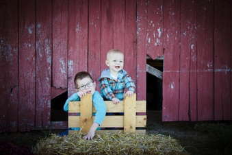 Enlarge photo 172