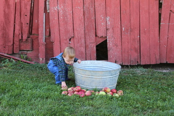 Enlarge photo 143